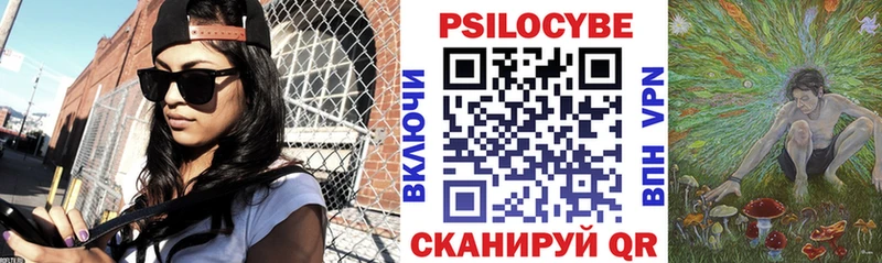 Псилоцибиновые грибы Cubensis Стародуб