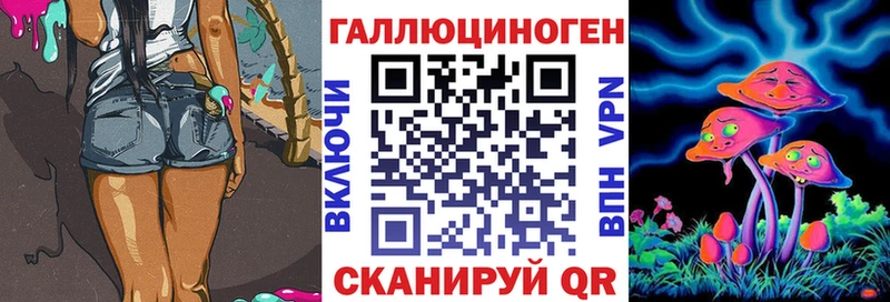 Псилоцибиновые грибы Cubensis  Купить где  Стародуб 
